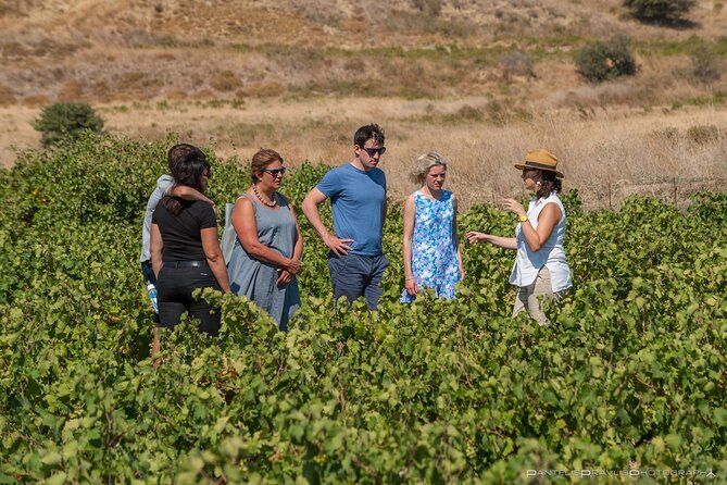 Lemnos Wine Tour - Private Tour - Inclusions of the Tour
