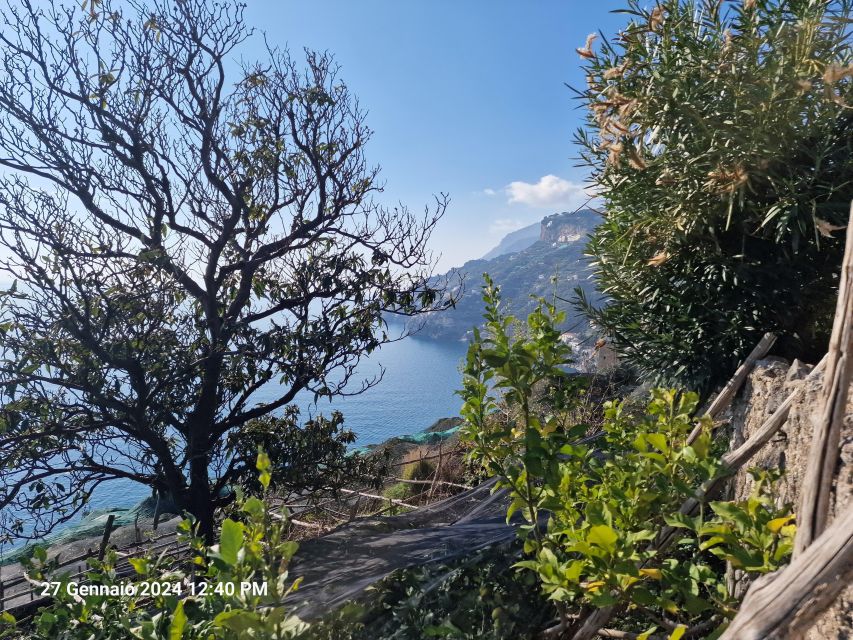 Lemon Path - Amalfi Coast - Key Points