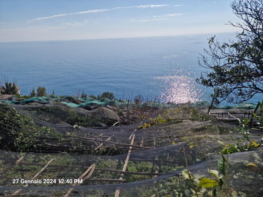 Lemon Path - Amalfi Coast - Starting Point Information