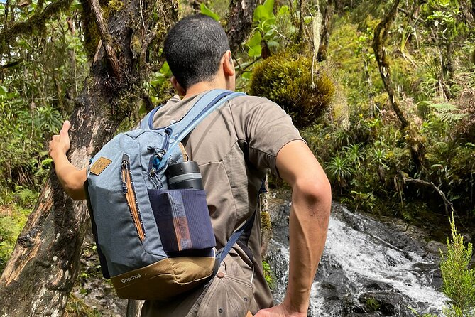 Lemosho Route Seven Days - Group Size and Pricing Details