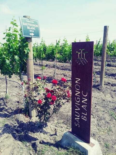 Leon: Dolores Hidalgo Viñedo Tres Raíces Wine Tour - Practical Details and Value