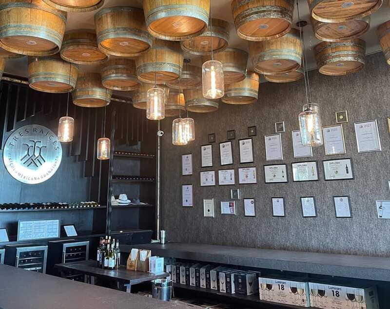 Leon: Dolores Hidalgo Viñedo Tres Raíces Wine Tour - Final Thoughts