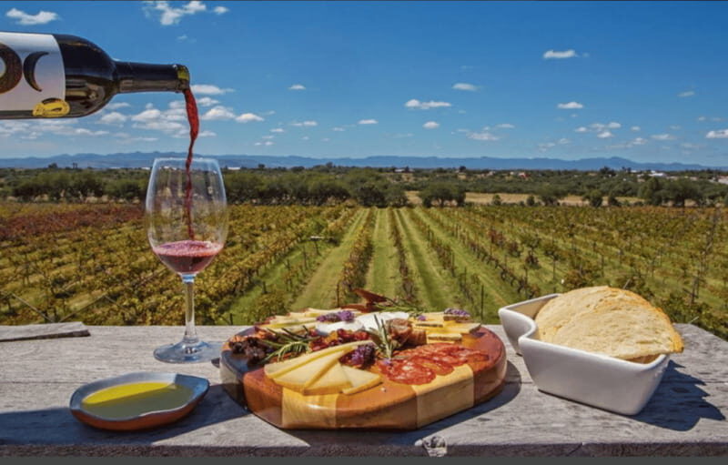 León: Wine Tasting & Vineyard Tour at Viñedo Jalpense - Who Should Consider This Tour?