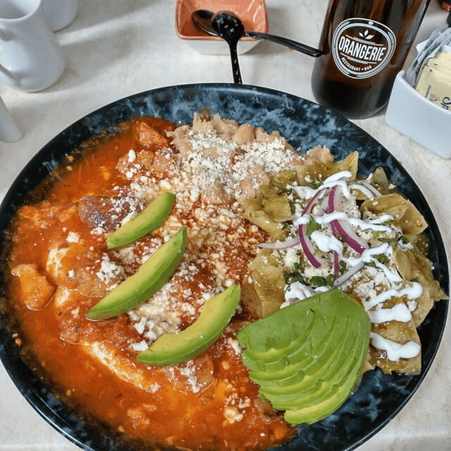 León: Wine Tasting & Vineyard Tour at Viñedo Jalpense - FAQ