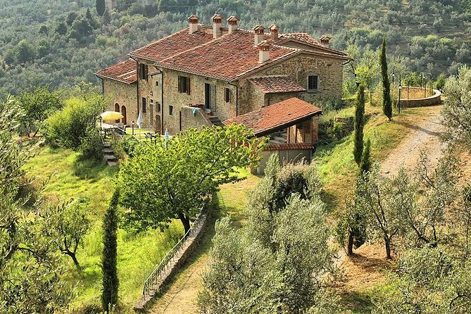 Leonardo Da Vinci S Homeland - the Origin of a Genius - Key Points