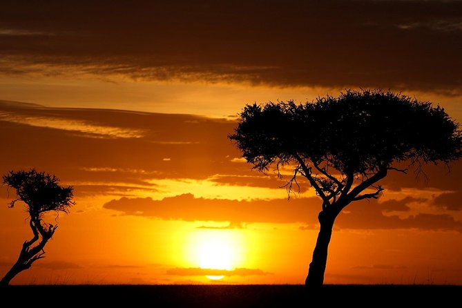 Leopard Safari Tour in Yala National Park - Spotting Leopards, Elephants, and Bears