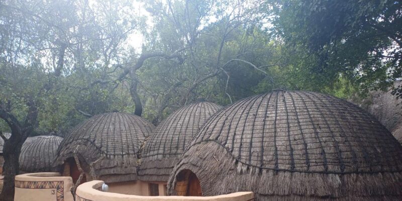 Lesedi Cultural Village Tour - Customer Feedback