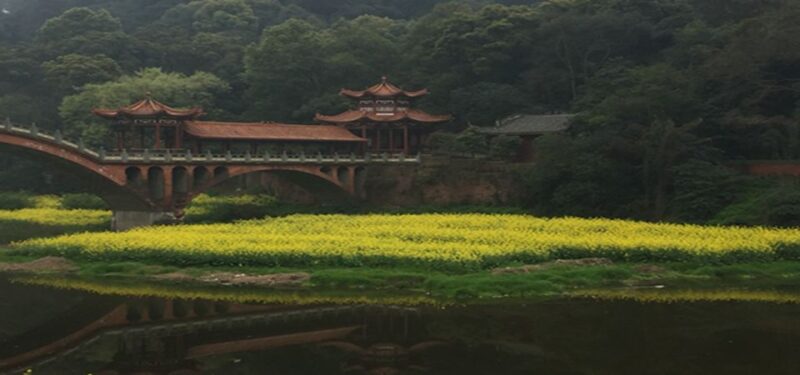 Leshan Buddha, Tea House&Mt. Emei 2 Days Private Tour - Cultural and Scenic Experiences