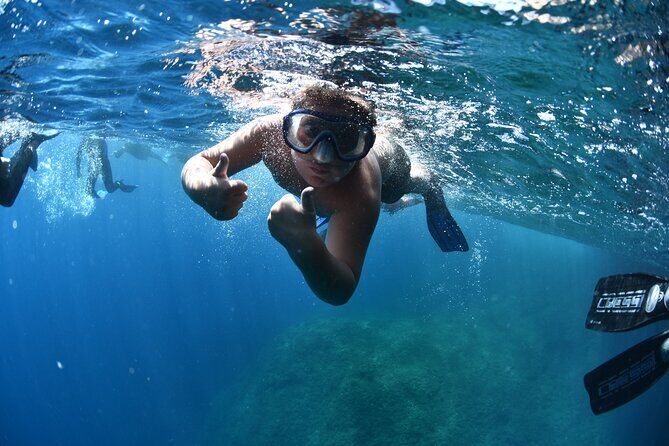 L'Estartit: Snorkeling in the Medes Islands - Authentic Experiences and Traveler Perspectives
