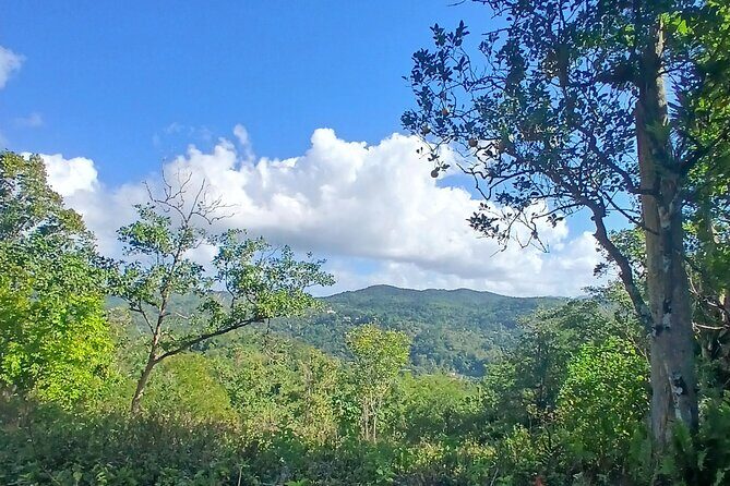 Lethe Mountain Valley Hiking - Key Points