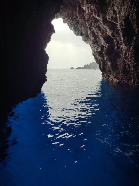 Letojanni and Taormina: Private dolphins tour with aperitif - The Sum Up