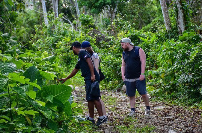 Let's do hiking in Punta Cana - FAQ
