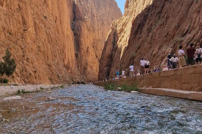 LETS GO Tour MARRAKECH to DESERT TO FES 3 Days - Activities and Experiences