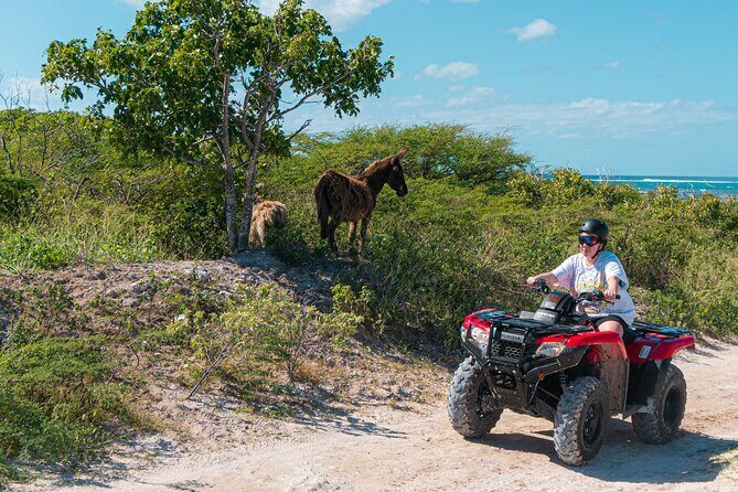 Lets Ride Adventures ATV Tour in Grand Turk - The Experience: What Sets This Tour Apart