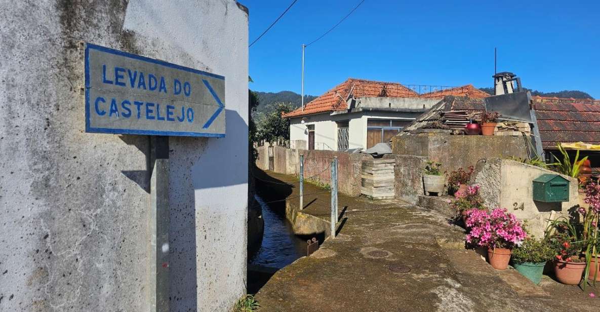 Levada Do Castelejo- Guided Tour by Overland Madeira - Tour Highlights