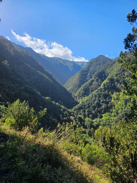 Levada Do Castelejo- Guided Tour by Overland Madeira - Tour Details