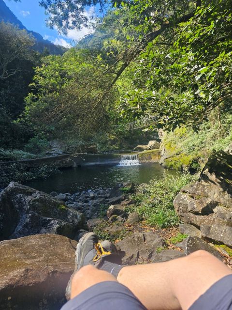 Levada Do Castelejo- Guided Tour by Overland Madeira - Booking Information