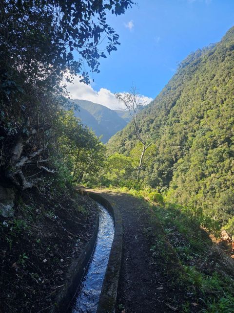 Levada Do Castelejo- Guided Tour by Overland Madeira - Pickup and Transportation