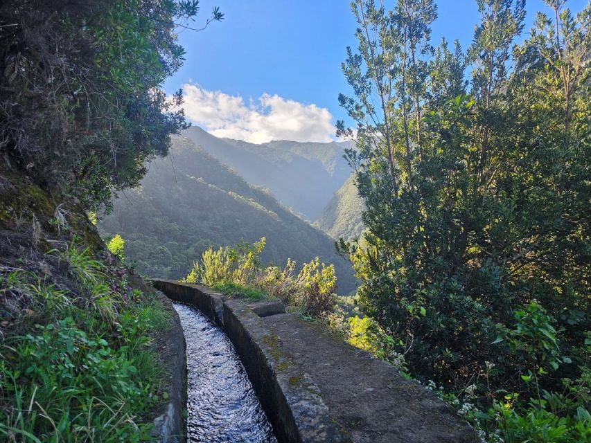 Levada Do Castelejo- Guided Tour by Overland Madeira - Guided Experience
