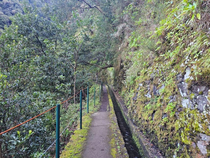 Levada Do Castelejo- Guided Tour by Overland Madeira - Cancellation Policy