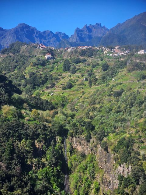 Levada Do Castelejo- Guided Tour by Overland Madeira - Frequently Asked Questions