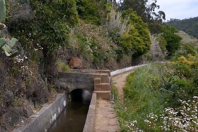 Levada Do Norte Quinta Grande Levada Walk - Booking Information