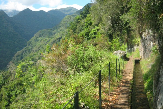 Levada Do Rei - Ribeiro Bonito (Full Day Walk) - Whats Included