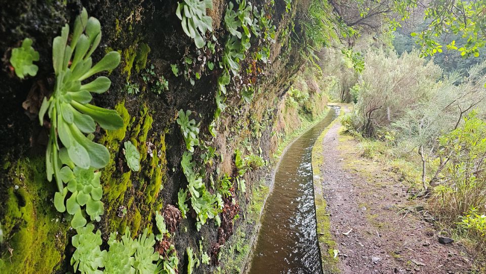 Levada Dos Tornos-Boaventura by Overland Madeira" - Frequently Asked Questions