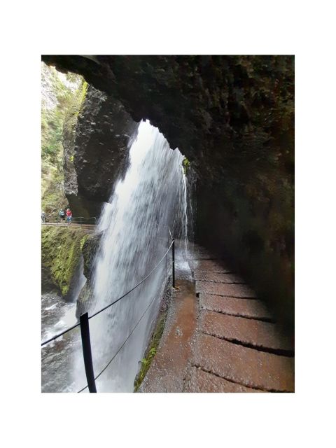 Levada Nova- Levado Do Moinho by Overland Madeira - Key Points