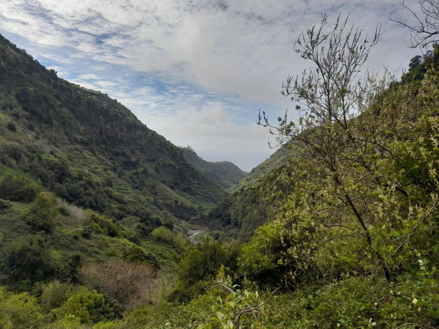 Levada Nova- Levado Do Moinho by Overland Madeira - Experience Highlights
