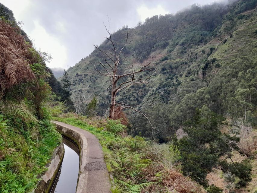 Levada Nova- Levado Do Moinho by Overland Madeira - Frequently Asked Questions