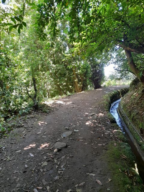 Levada Serra Do Faial, Camacha - Pickup Locations