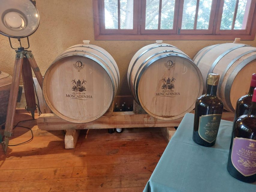 Levada Walk, Cider Tasting & Lunch - Itinerary