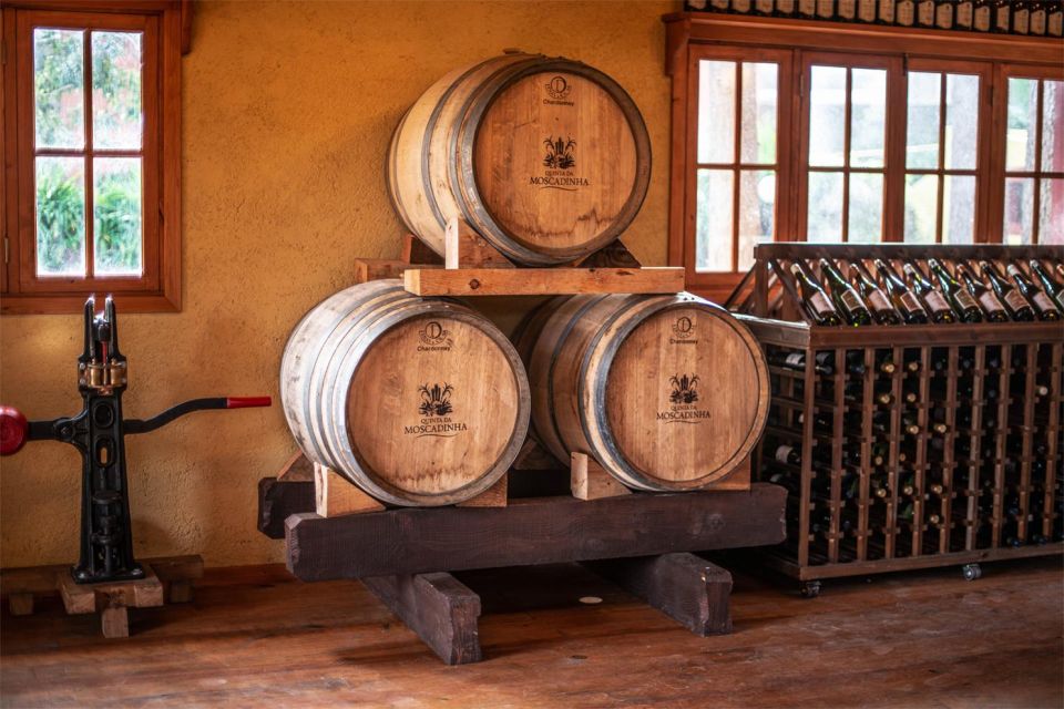Levada Walk, Cider Tasting & Lunch - Tour Details