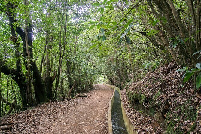 Levada Walk from Ribeiro Frio to Portela - Who Would Love This Tour?