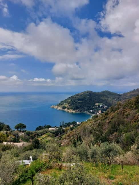 Levanto: Hiking Tour with Creative Workshop! - A Detailed Look at the Experience