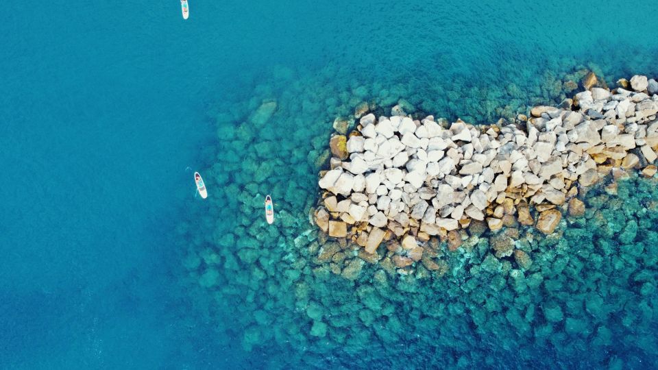Levanto: Paddleboard Tours and Snorkeling Along the Coast - Best Times for Tours