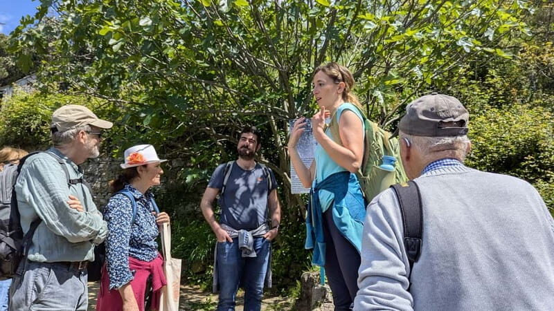 Levanto to Bonassola Hiking Tour: Nature & Wonderful Views - What Travelers Are Saying