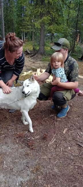 Levi: 2 KM Husky Summer Sledding with wheels - Key Points
