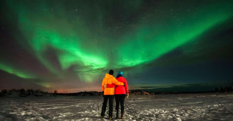 Levi: Aurora Borealis Bus & Snowshoe Tour With Hot Drink - Itinerary and Experience