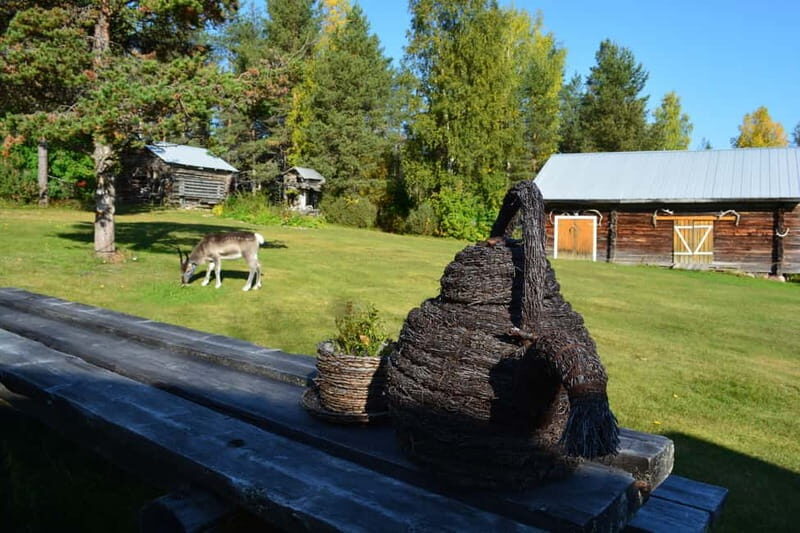 Levi: Canoeing Adventure with Reindeer Farm Visit - Key Points