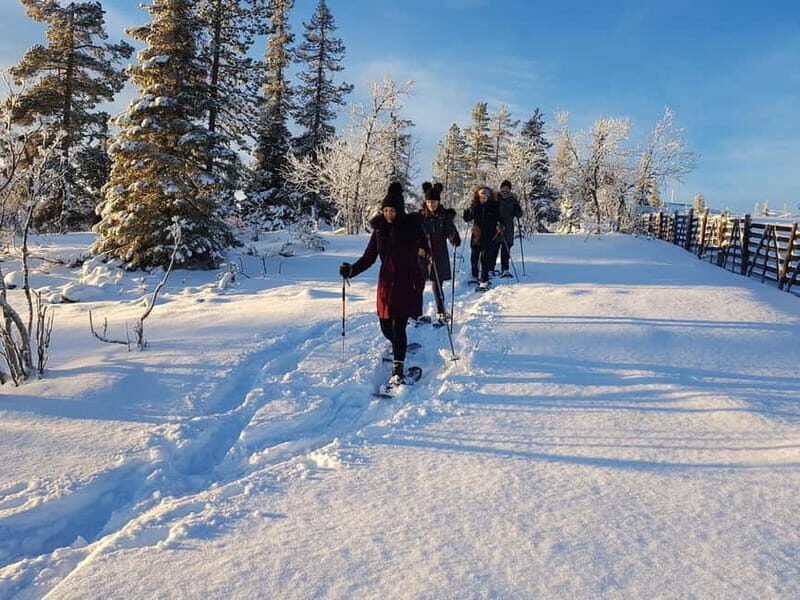 Levi: Easy Snowshoeing - A Closer Look at the Levi Easy Snowshoeing Tour