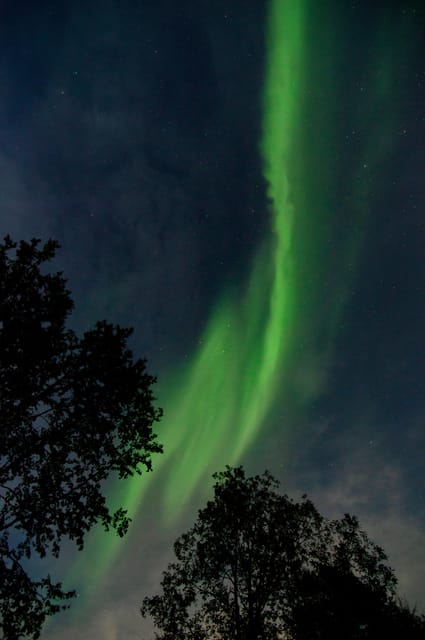 Levi: Evening Horseback Ride with Northern Lights - An Authentic Northern Experience in Levi