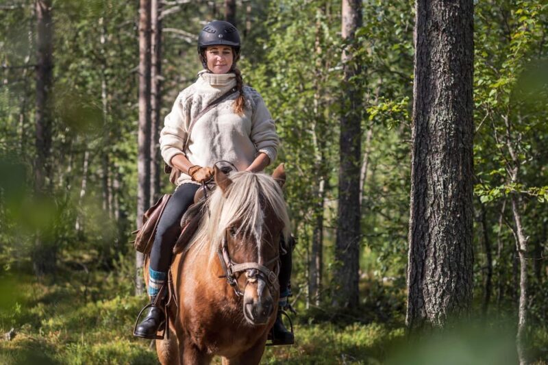 Levi: Evening Horseback Ride with Northern Lights - The Value and Practical Aspects