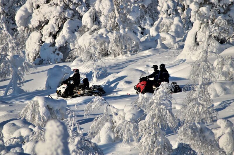 Levi: Forest Snowmobile Safari - Introducing the Levi Forest Snowmobile Safari