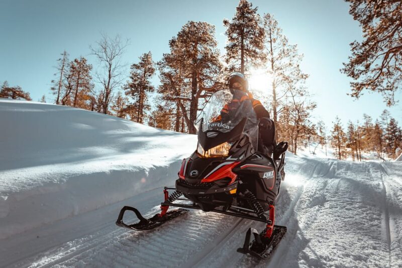 Levi: Forest Snowmobile Safari - Who Should Consider This Tour?