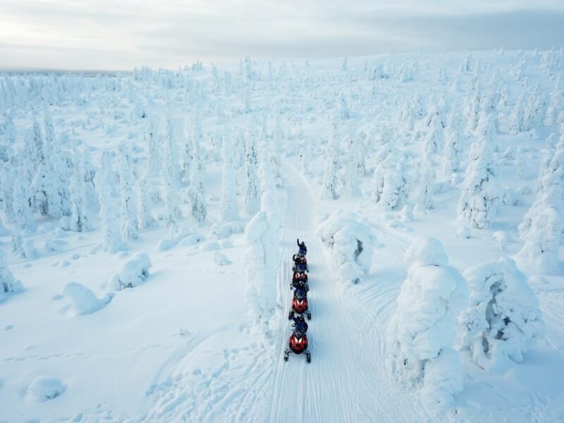 Levi: Forest Snowmobile Safari - The Sum Up