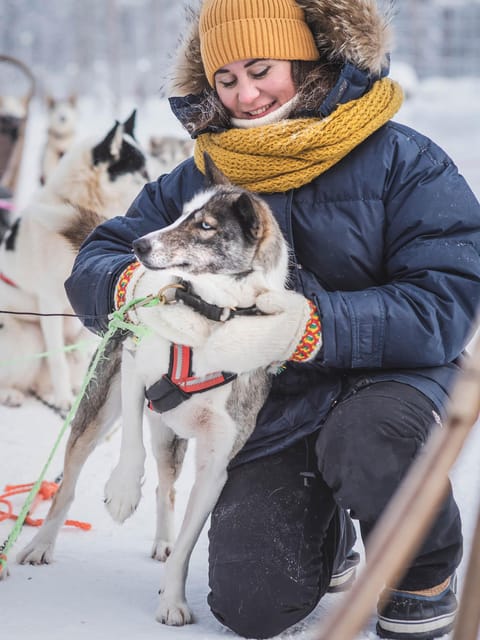 Levi: Guide-driven Husky Safari - The Experience in Detail