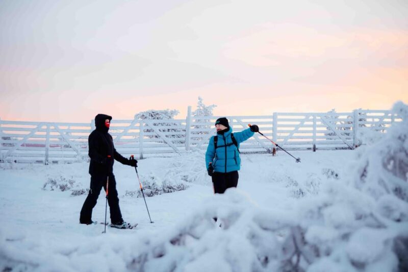 Levi: Guided Snowshoeing Adventure - What Makes This Snowshoeing Tour Special?