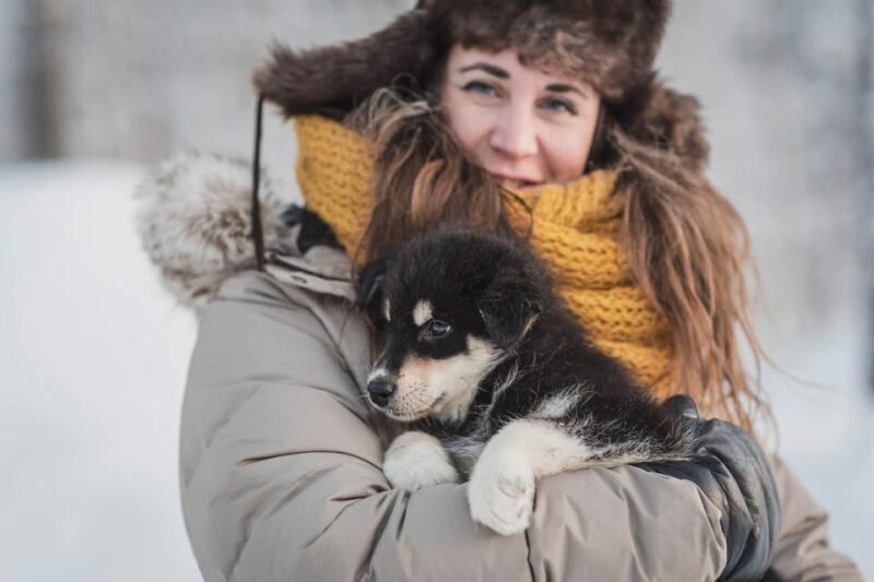 Levi: Horse and Husky Farm Visit with Juice and Cookies - Authenticity, Value, and Tips for Travelers